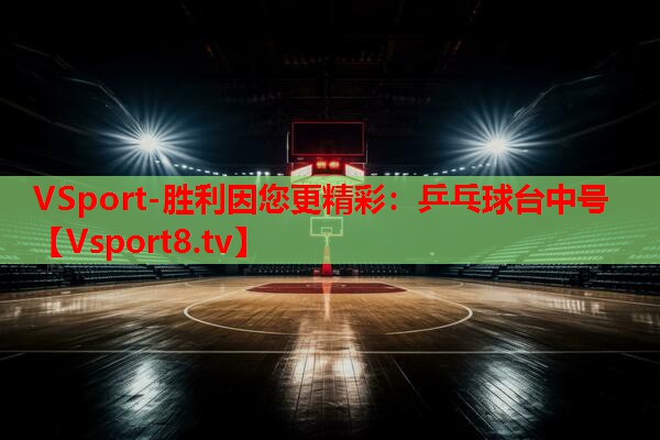 VSport-胜利因您更精彩：乒乓球台中号