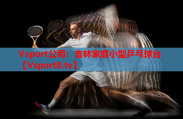 Vsport公司：吉林家庭小型乒乓球台