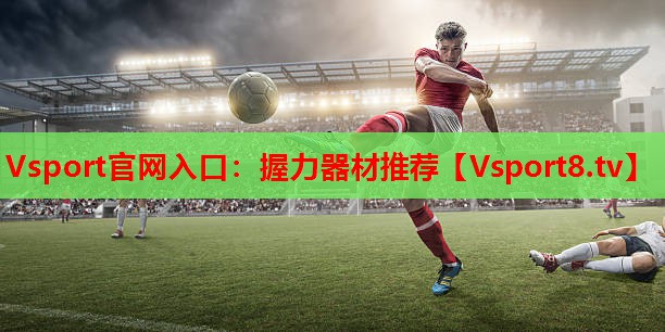 Vsport官网入口：握力器材推荐