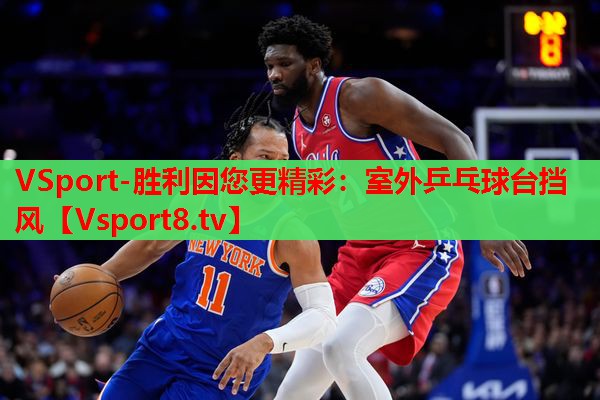 VSport-胜利因您更精彩：室外乒乓球台挡风
