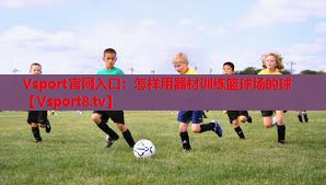 Vsport官网入口：怎样用器材训练篮球场的球