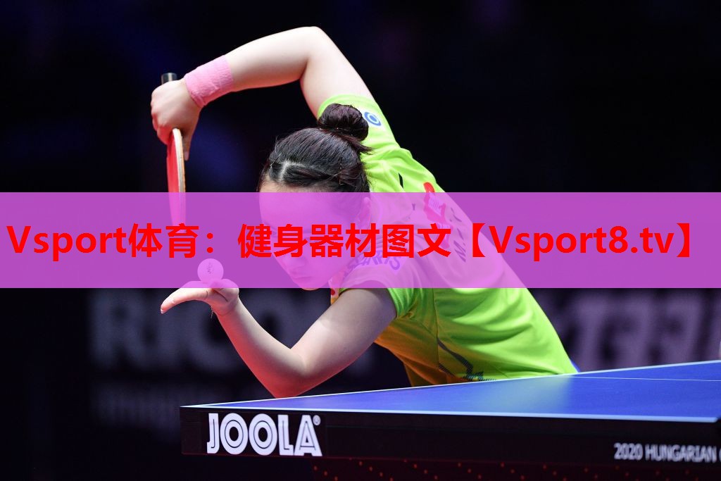 Vsport体育：健身器材图文