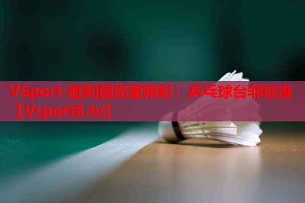 VSport-胜利因您更精彩：乒乓球台非标准