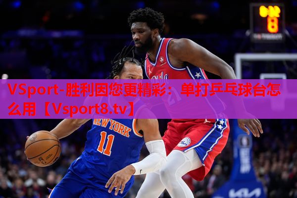 VSport-胜利因您更精彩：单打乒乓球台怎么用