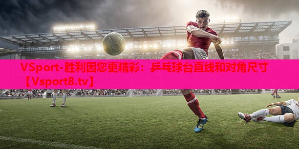 VSport-胜利因您更精彩：乒乓球台直线和对角尺寸