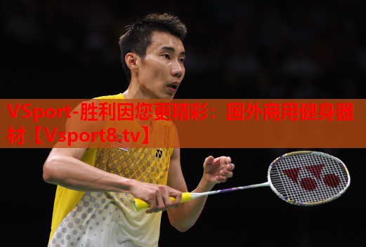VSport-胜利因您更精彩：国外商用健身器材