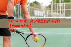 Vsport体育：武宁哪里有乒乓球台