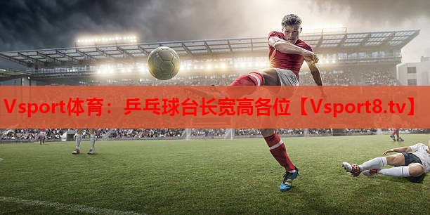 Vsport体育：乒乓球台长宽高各位