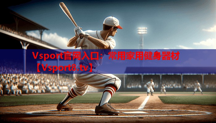 Vsport官网入口：常用家用健身器材