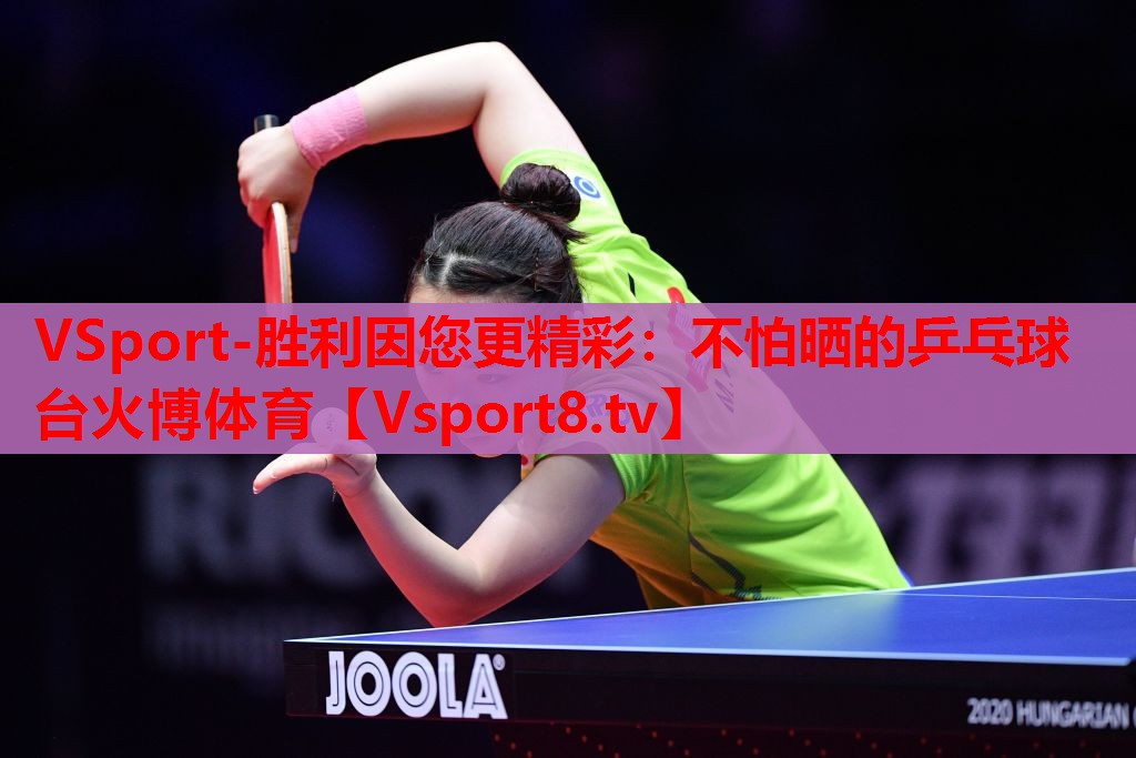 VSport-胜利因您更精彩：不怕晒的乒乓球台火博体育