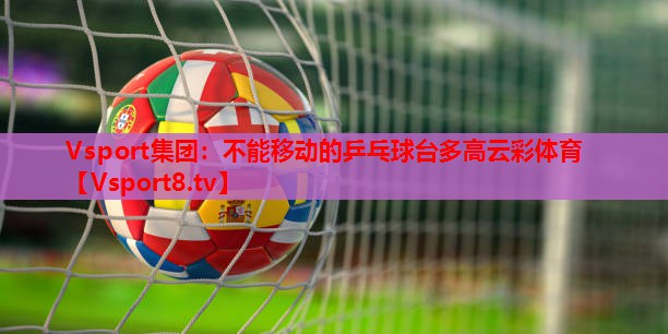 Vsport集团：不能移动的乒乓球台多高云彩体育