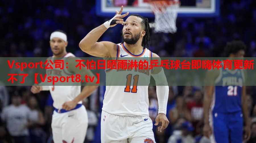 Vsport公司：不怕日晒雨淋的乒乓球台即嗨体育更新不了