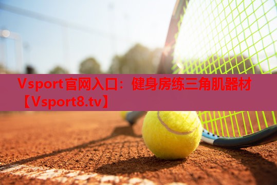 Vsport官网入口：健身房练三角肌器材