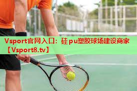 Vsport官网入口：硅pu塑胶球场建设商家