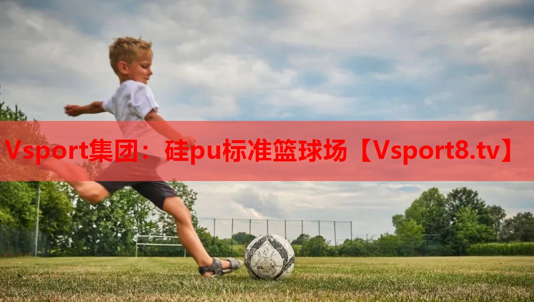 Vsport集团：硅pu标准篮球场