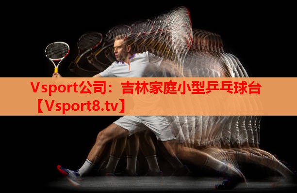 吉林家庭小型乒乓球台 吉林家庭小型乒乓球台