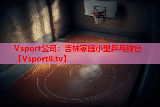 吉林家庭小型乒乓球台 吉林家庭小型乒乓球台