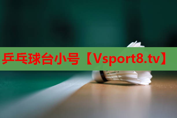 乒乓球台小号 乒乓球台小号