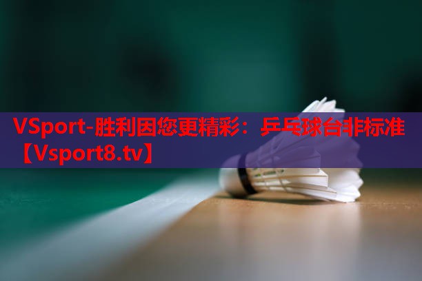 乒乓球台非标准 乒乓球台非标准