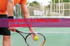武宁哪里有乒乓球台 武宁哪里有乒乓球台