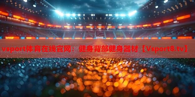 健身背部健身器材 健身背部健身器材