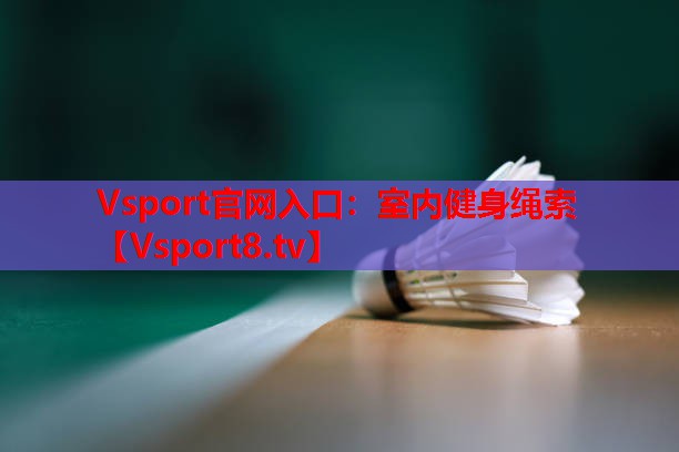室内健身绳索 室内健身绳索